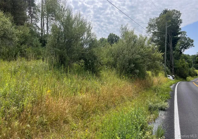 5th image of Horseshoe Lake, Bethel, NY 12783 | MLS# 1030590