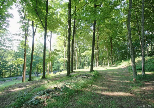 Land for sale at Pond Rd, Milan, NY 12572 | MLS# 1030926