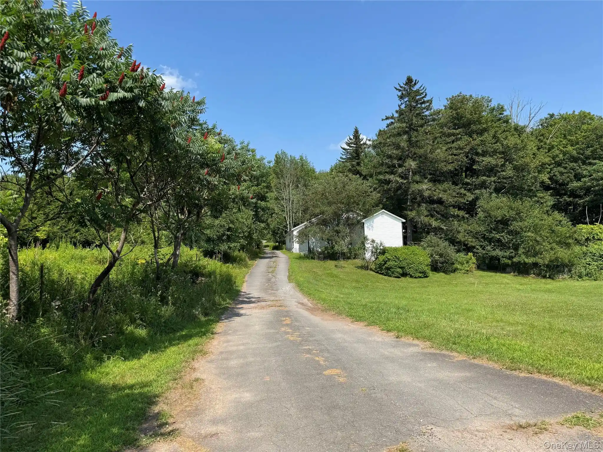 Listing Photo 37 - Condo for sale in 6269 State Rte 42 located at 6269 State Rte 42, Fallsburg, NY 12788 - Unit #6279