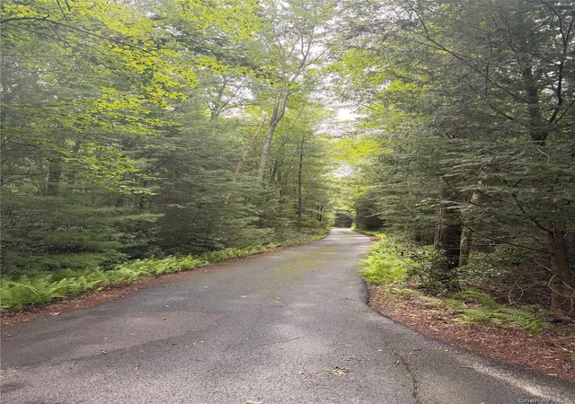 2nd image of 223 Spook Hole Rd #N, Wawarsing, NY 12428 | MLS# 1031314
