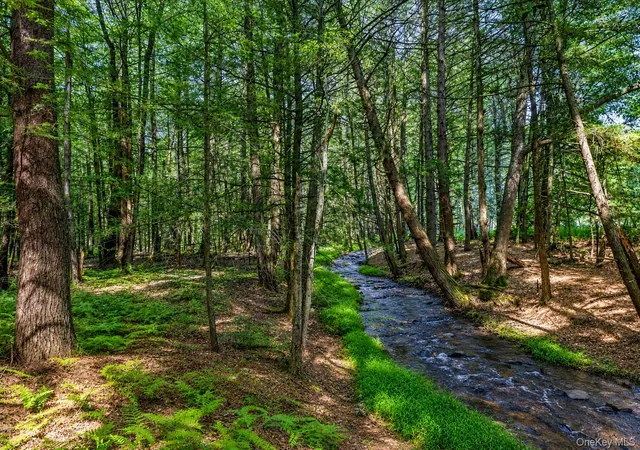 3rd image of 111 Deer Meadow Rd, Bethel, NY 12786 | MLS# 1031460