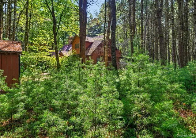 5th image of 111 Deer Meadow Rd, Bethel, NY 12786 | MLS# 1031460