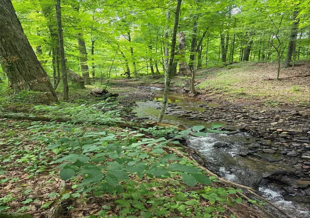 Photo 2 of Single family home for sale at 208 R Mclaren Rd Ext, Cairo, NY 12482 | MLS# 1031526 | Listing updated on 2026-09-02