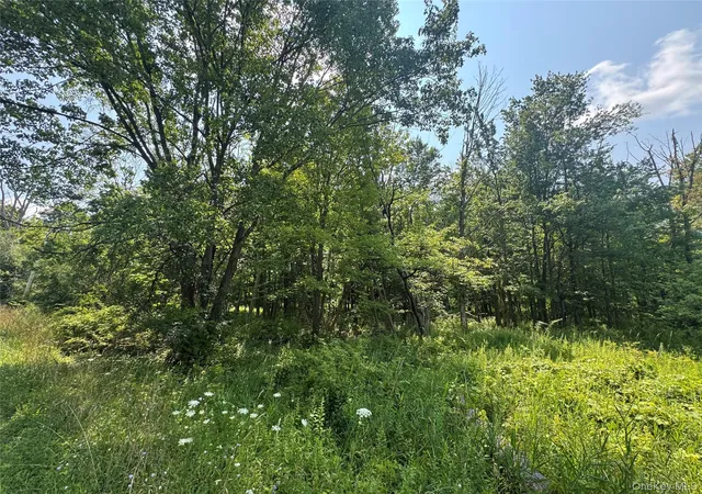 Photo 3 of Land for sale at 114 Highland Lake Rd, Middletown, NY 10940 | MLS# 1031561 | Listing updated on 2026-07-29
