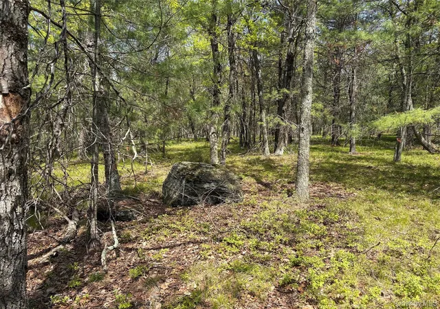 2nd image of Route 28a, Hurley, NY 12443 | MLS# 1031588