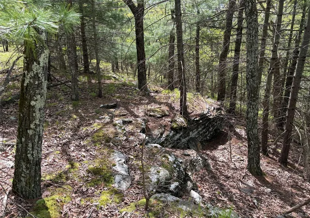 5th image of Route 28A, Hurley, NY 12443 | MLS# 1031588