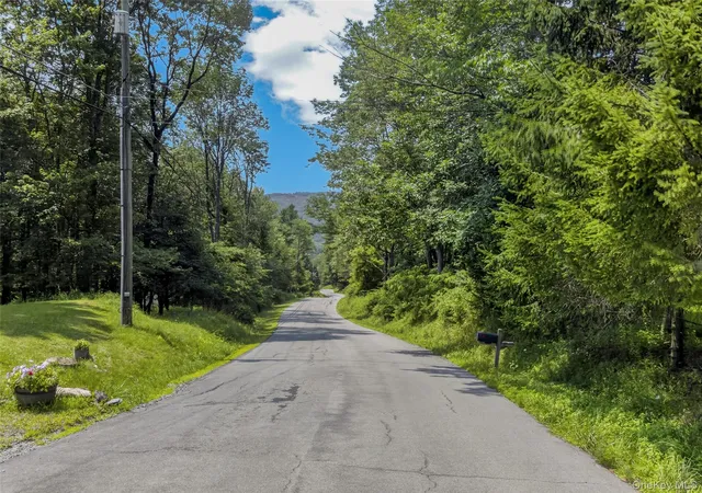 1st image of Tdb White Roe Lake Rd, Rockland, NY 12758 | MLS# 1031765