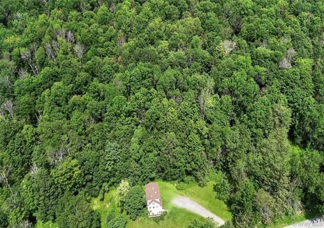 2nd image of Tdb White Roe Lake Rd, Rockland, NY 12758 | MLS# 1031765