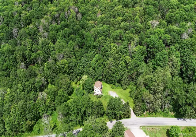 3rd image of Tdb White Roe Lake Rd, Rockland, NY 12758 | MLS# 1031765