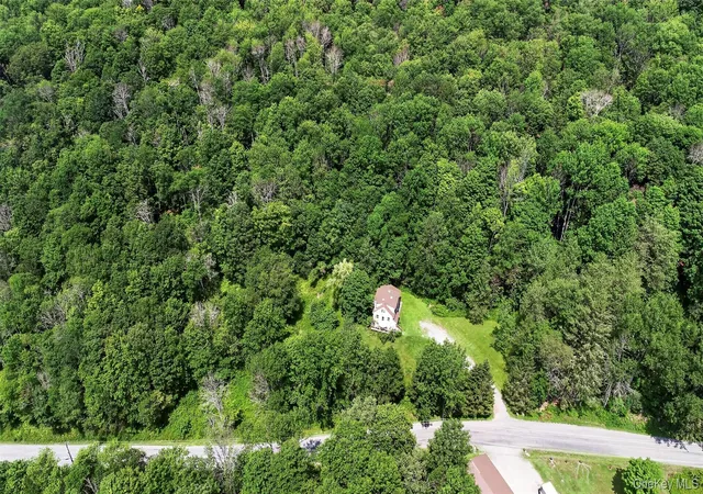 4th image of Tdb White Roe Lake Rd, Rockland, NY 12758 | MLS# 1031765