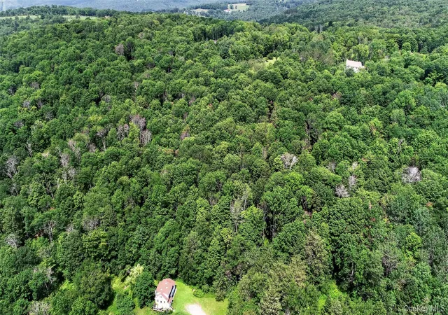 5th image of Tdb White Roe Lake Rd, Rockland, NY 12758 | MLS# 1031765