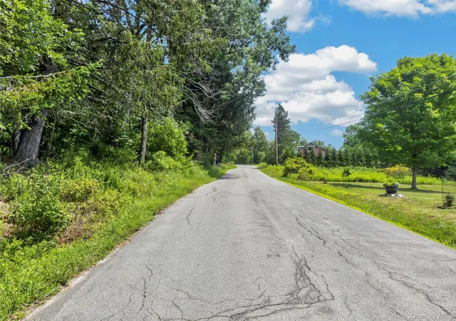 7th image of Tdb White Roe Lake Rd, Rockland, NY 12758 | MLS# 1031765