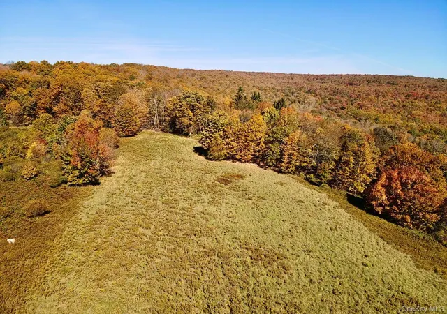 3rd image of 344 Midway Rd, Liberty, NY 12758 | MLS# 1032003