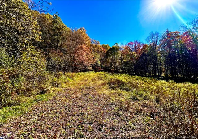 4th image of 344 Midway Rd, Liberty, NY 12758 | MLS# 1032003