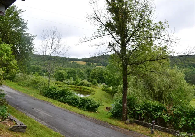Photo 3 of Sale Pending at 833 Biffar Rd, Hancock, NY 12760 | MLS# 1032025 | Listing updated on 2026-10-18