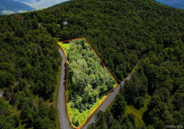 1st image of 00 Red Hill Knolls Rd, Denning, NY 12740 | MLS# 1032151