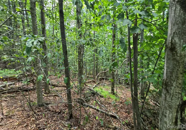 20th image of 00 Red Hill Knolls Rd, Denning, NY 12740 | MLS# 1032151