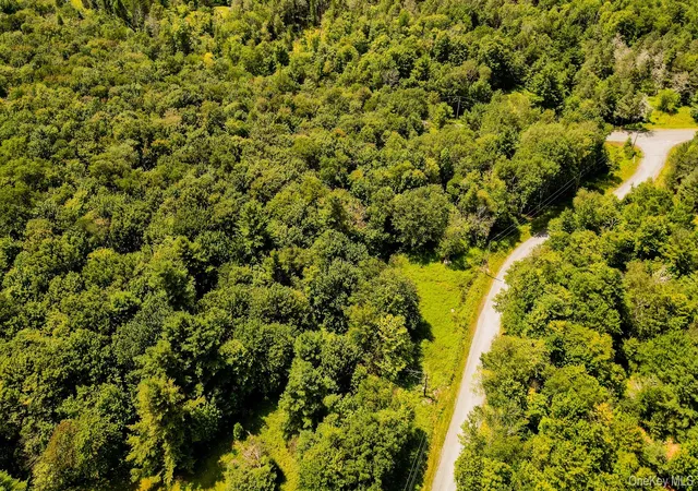 Photo 5 of Land for sale at 00 Red Hl Knls Rd, Denning, NY 12740 | MLS# 1032151 | Listing updated on 2026-08-07