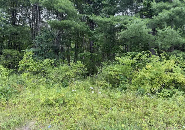 Photo 2 of Sale Pending at L 15 State Route 32, Greenville, NY 12083 | MLS# 1032489 | Listing updated on 2026-08-25