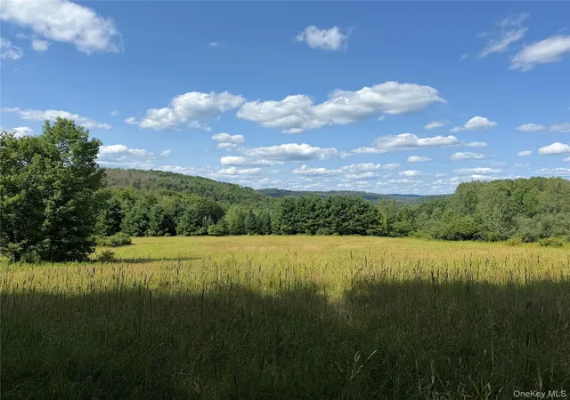 Photo 1 of Land for sale at Bert Medlar Rd, Hancock, NY 13783 | MLS# 1032544 | Listing updated on 2026-07-31