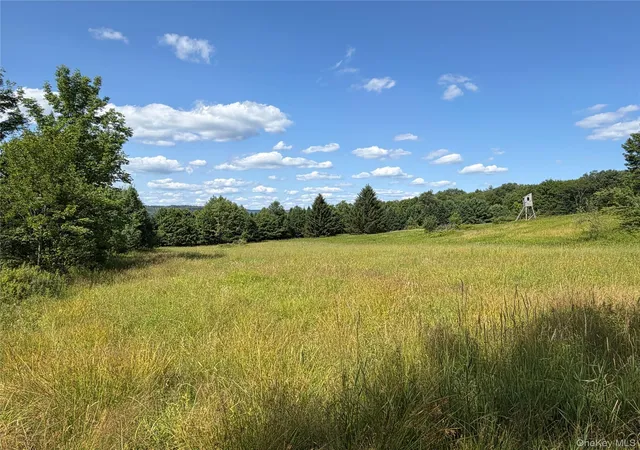 Photo 3 of Land for sale at Bert Medlar Rd, Hancock, NY 13783 | MLS# 1032544 | Listing updated on 2026-07-31