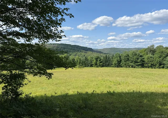 Photo 4 of Land for sale at Bert Medlar Rd, Hancock, NY 13783 | MLS# 1032544 | Listing updated on 2026-07-31