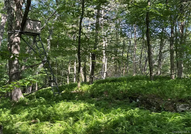 Photo 5 of Land for sale at Bert Medlar Rd, Hancock, NY 13783 | MLS# 1032544 | Listing updated on 2026-07-31