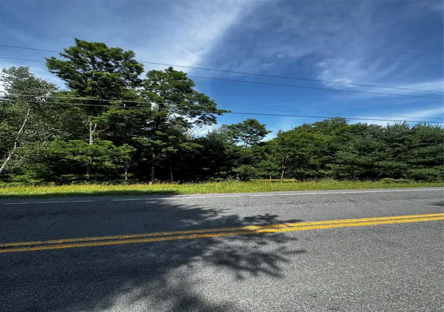 2nd image of Ulster Heights Rd, Fallsburg, NY 12733 | MLS# 1032569