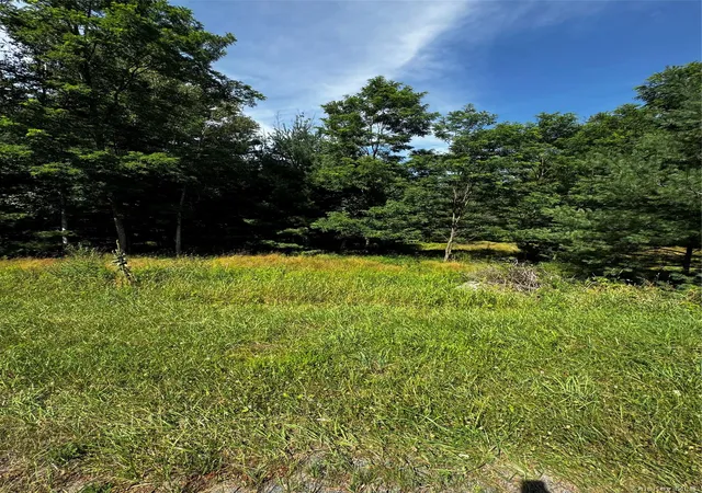 Photo 3 of Land for sale at Ulster Hts Rd, Fallsburg, NY 12733 | MLS# 1032569 | Listing updated on 2026-07-31