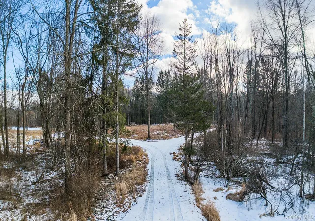 Photo 3 of Land for sale at 64 Seaman Rd, Middletown, NY 10941 | MLS# 1032739 | Listing updated on 2026-08-09