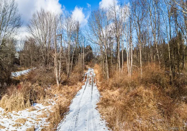 Photo 3 of Land for sale at 64 Seaman Rd, Middletown, NY 10941 | MLS# 1032739 | Listing updated on 2026-08-09
