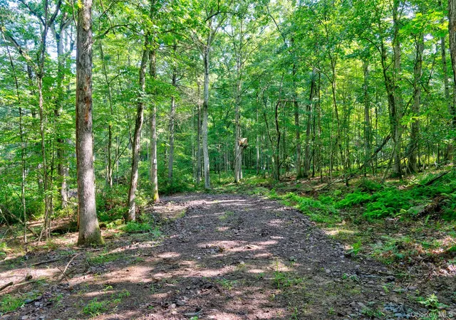 1st image of Lot 23 Perry Pond Rd, Tusten, NY 12764 | MLS# 1032899