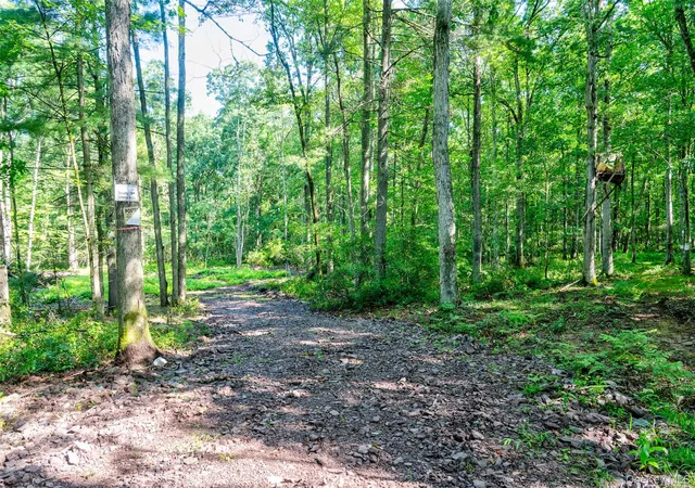 2nd image of Lot 23 Perry Pond Rd, Tusten, NY 12764 | MLS# 1032899