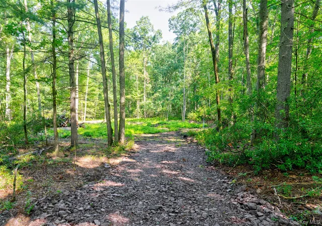 3rd image of Lot 23 Perry Pond Rd, Tusten, NY 12764 | MLS# 1032899
