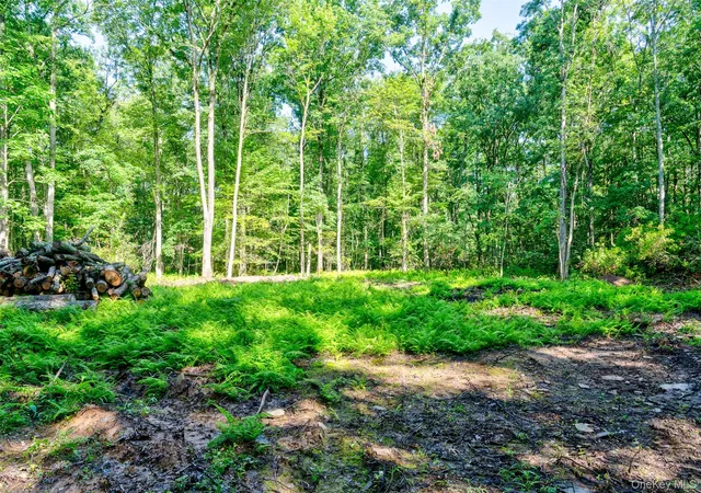 4th image of Lot 23 Perry Pond Rd, Tusten, NY 12764 | MLS# 1032899