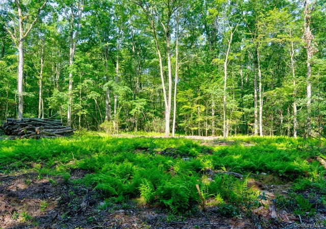 5th image of Lot 23 Perry Pond Rd, Tusten, NY 12764 | MLS# 1032899