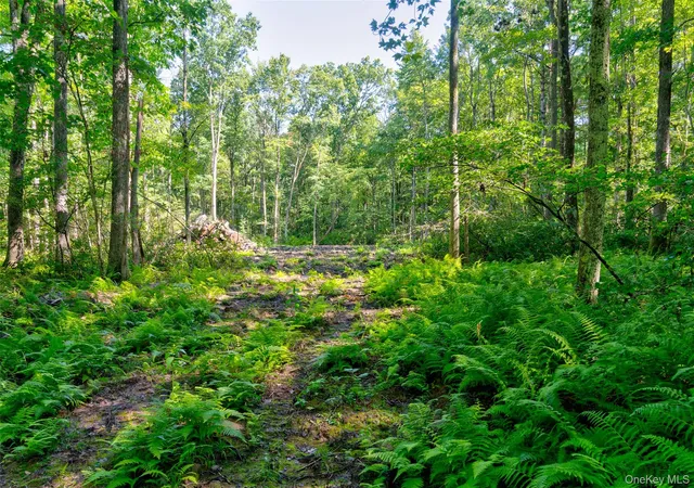 1st image of Lot 22 Perry Pond Rd, Tusten, NY 12764 | MLS# 1032901