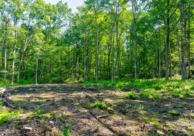2nd image of Lot 22 Perry Pond Rd, Tusten, NY 12764 | MLS# 1032901