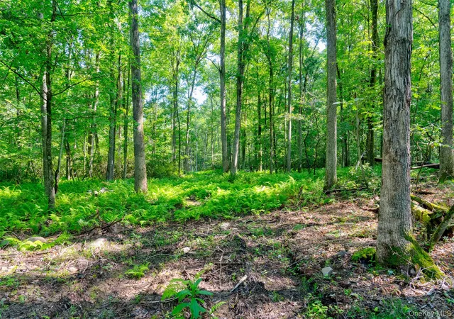 3rd image of Lot 22 Perry Pond Rd, Tusten, NY 12764 | MLS# 1032901