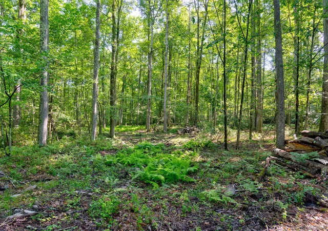 4th image of Lot 22 Perry Pond Rd, Tusten, NY 12764 | MLS# 1032901