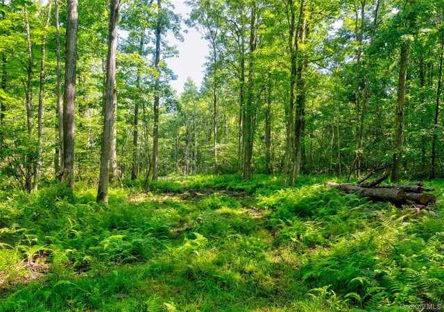 5th image of Lot 22 Perry Pond Rd, Tusten, NY 12764 | MLS# 1032901