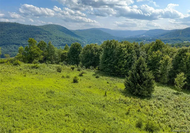 Photo 2 of Sale Pending at Lot 23 Lynch Rd, Delhi, NY 13753 | MLS# 1032915 | Listing updated on 2026-08-07