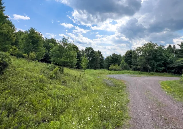 Photo 3 of Sale Pending at Lot 23 Lynch Rd, Delhi, NY 13753 | MLS# 1032915 | Listing updated on 2026-08-07