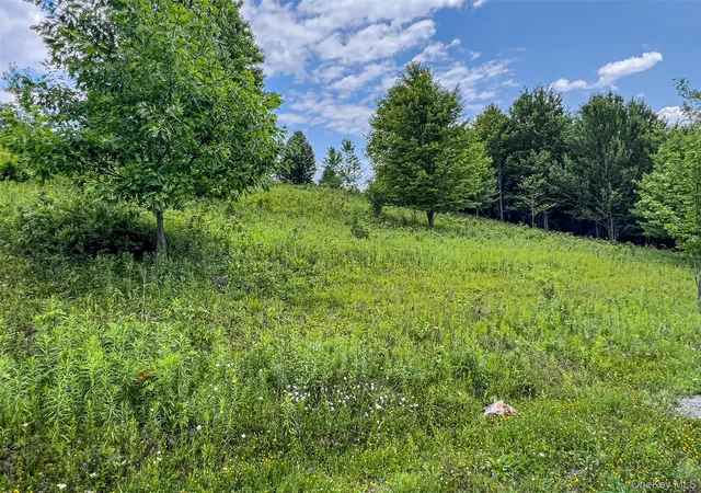 Photo 4 of Sale Pending at Lot 23 Lynch Rd, Delhi, NY 13753 | MLS# 1032915 | Listing updated on 2026-08-07