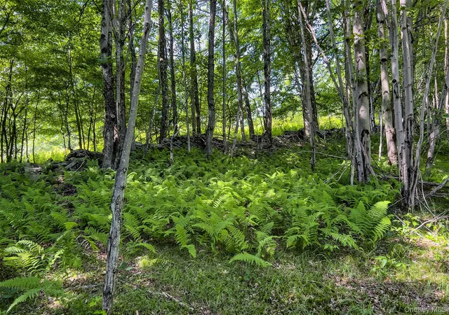 Photo 50 of Sale Pending at Lot 23 Lynch Rd, Delhi, NY 13753 | MLS# 1032915 | Listing updated on 2026-08-07