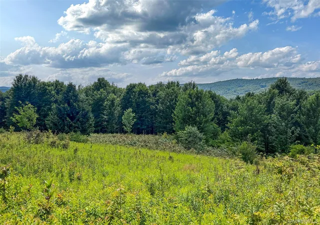 Photo 5 of Sale Pending at Lot 23 Lynch Rd, Delhi, NY 13753 | MLS# 1032915 | Listing updated on 2026-08-07