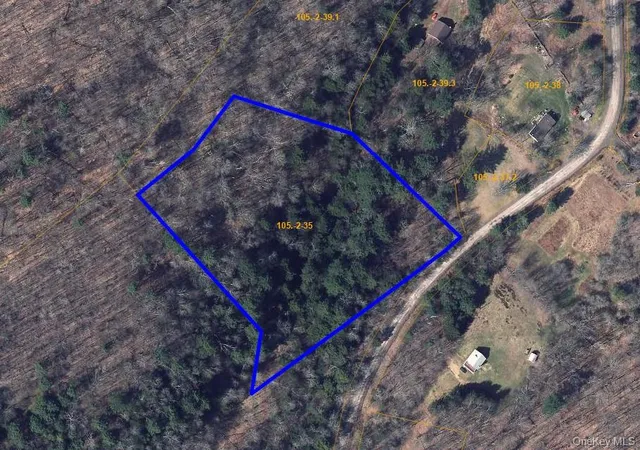 Photo 42 of Land for sale at Lot 35 Webster Brk Rd, Kortright, NY 13842 | MLS# 1033054 | Listing updated on 2026-07-31