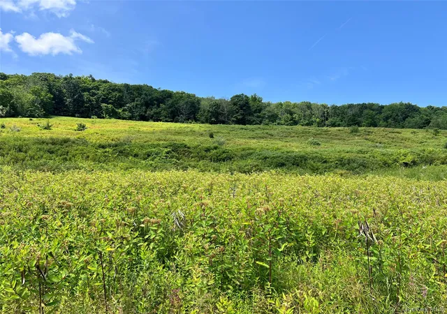 1st image of Lot #4 Mountain Rd, Greenville, NY 12771 | MLS# 1033180