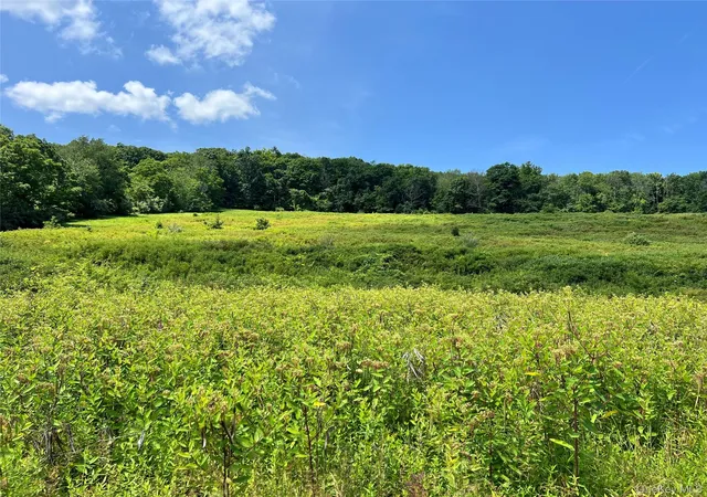 Photo 3 of Sale Pending at Lot #4 Mountain Rd, Greenville, NY 12771 | MLS# 1033180 | Listing updated on 2026-10-03