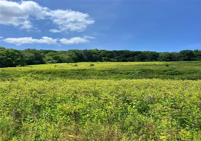 Photo 4 of Sale Pending at Lot #4 Mountain Rd, Greenville, NY 12771 | MLS# 1033180 | Listing updated on 2026-10-03